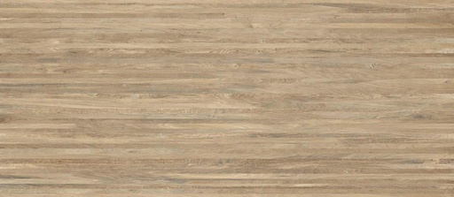 Brave Stripy Oak